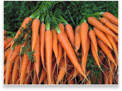 Carrots