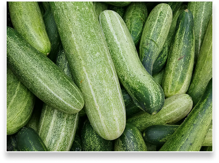 Cucumbers